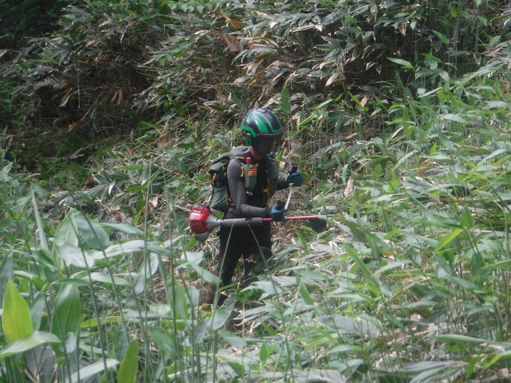 笠ヶ岳_クリヤ道_草刈りの様子